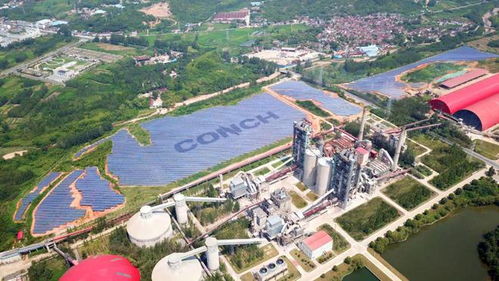 海螺集團改革案例入選國企改革三年行動典型經驗